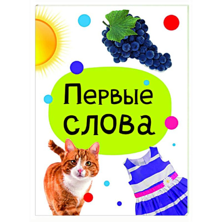 Знакомство с миром, развитие малыша, книга Первые слова купить по низкой цене