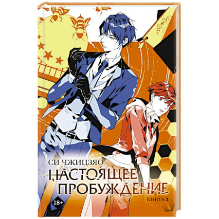 Мистика, ужасы, книга Настоящее пробуждение. Real Awakening. Книга 3 купить по низкой цене