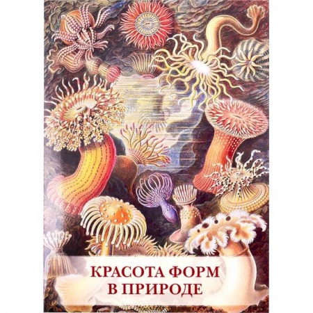 Изобразительное искусство, книга Красота форм в природе купить по низкой цене