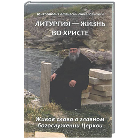 Духовная литература, книга Литургия - жизнь во Христе купить по низкой цене