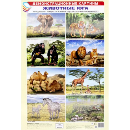 Животный и растительный мир, книга Демонстрационные картины А3. Животные Юга (8 плакатов) купить по низкой цене