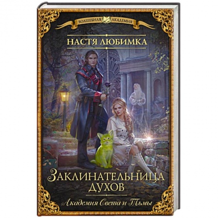 Русское фэнтези, книга Академия Света и Тьмы. Заклинательница Духов купить по низкой цене