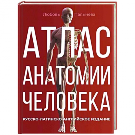 Анатомия и физиология человека, книга Атлас анатомии человека. Русско-латинско-английское издание купить по низкой цене
