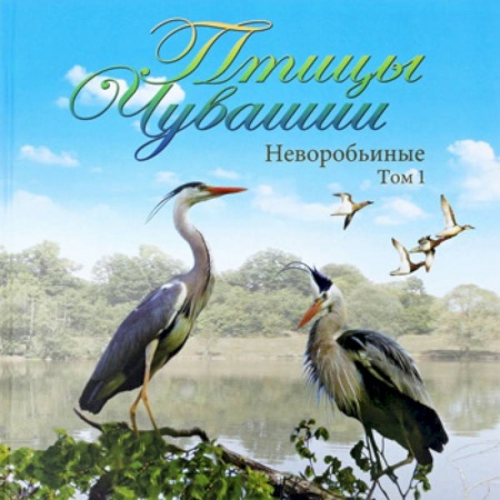 Зоология, книга Птицы Чувашии. Неворобьинные. Том 1 купить по низкой цене