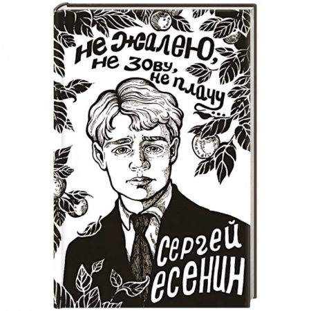 Русская поэзия, книга Не жалею, не зову, не плачу... купить по низкой цене