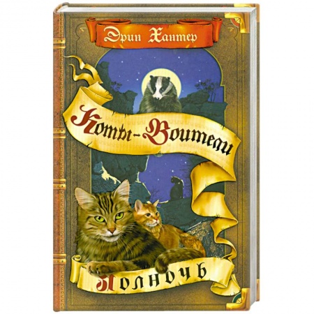 Книги, книга Полночь купить по низкой цене