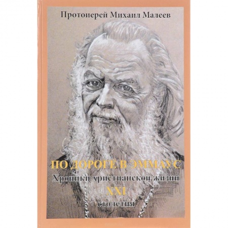 Православие и общество, книга По дороге в Эммаус. Хроники христианской жизни 21 столетия купить по низкой цене