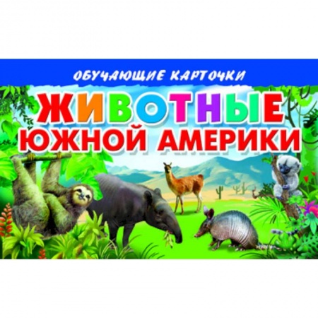 Книги, книга Карточки. Животные Южной Америки купить по низкой цене