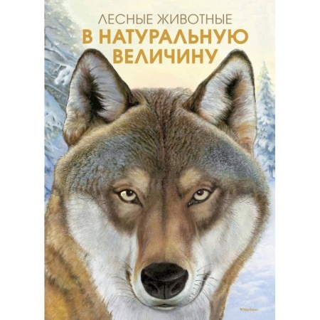 Животный и растительный мир, книга Лесные жители в натуральную величину купить по низкой цене