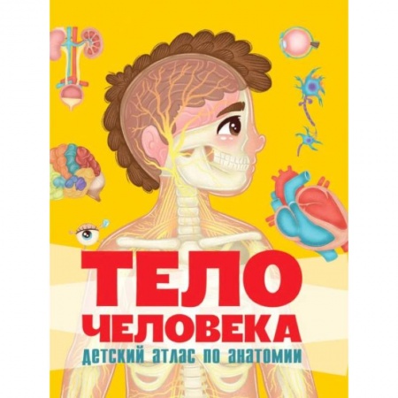 Атласы и карты, книга Тело человека. Детский атлас по анатомии купить по низкой цене