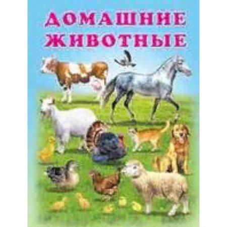 Знакомство с миром, развитие малыша, книга Домашние животные купить по низкой цене
