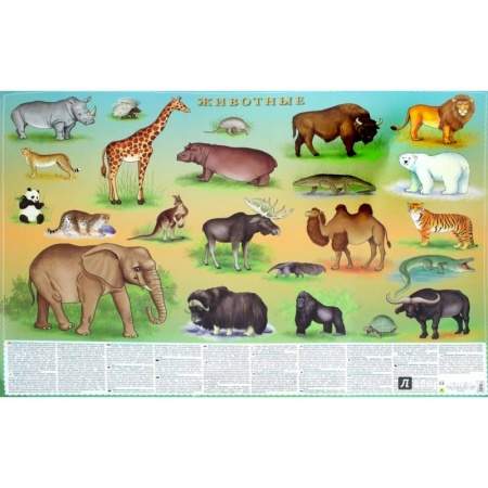Образовательные системы. 1-4 классы, книга Животные. Цифры и факты. Настольное издание купить по низкой цене
