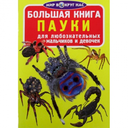 Животный и растительный мир, книга Большая книга. Пауки купить по низкой цене