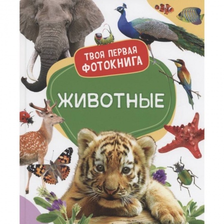 Животный и растительный мир, книга Животные купить по низкой цене