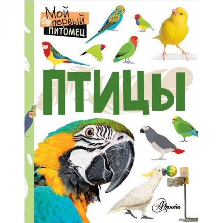 Животный и растительный мир, книга Птицы купить по низкой цене