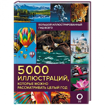 Общие справочники, книга Большой иллюстрированный гид всего. 5 000 иллюстраций, которые можно рассматривать целый год купить по низкой цене