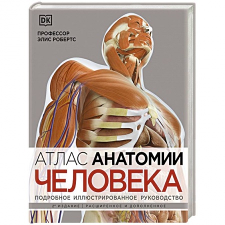 Медицинские энциклопедии и справочники, книга Атлас анатомии человека. Подробное иллюстрированное руководство купить по низкой цене