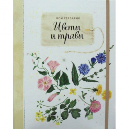 Школьникам и абитуриентам, книга Мой гербарий. Цветы и травы купить по низкой цене