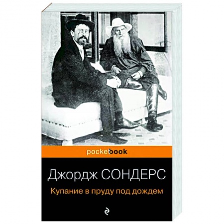 Литературная критика, книга Купание в пруду под дождем купить по низкой цене