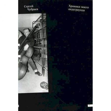 Эссе, письма, очерки, книга Хроники моего андеграунда купить по низкой цене