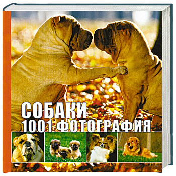 Собаки. 1001 фотография