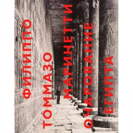 Заметки путешественника, книга Очарование Египта купить по низкой цене