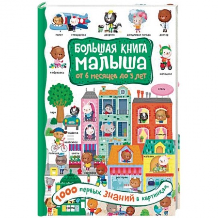 Знакомство с миром, развитие малыша, книга 1000 первых знаний в картинках купить по низкой цене