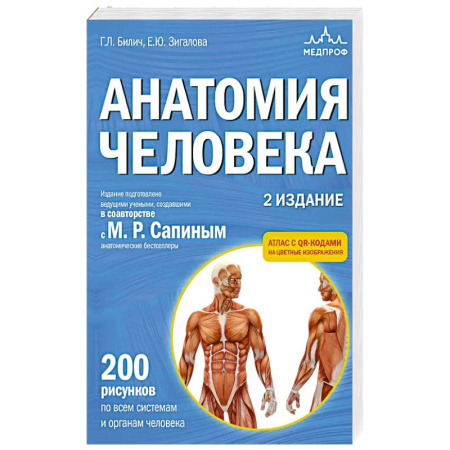 Медицинские энциклопедии и справочники, книга Анатомия человека. 2 издание. Атлас с qr-кодами на цветные изображения купить по низкой цене