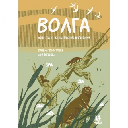 Познавательная литература, книга Волга. Один год из жизни пресноводного биома купить по низкой цене