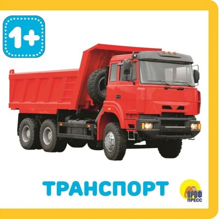 Знакомство с миром, развитие малыша, книга Транспорт купить по низкой цене