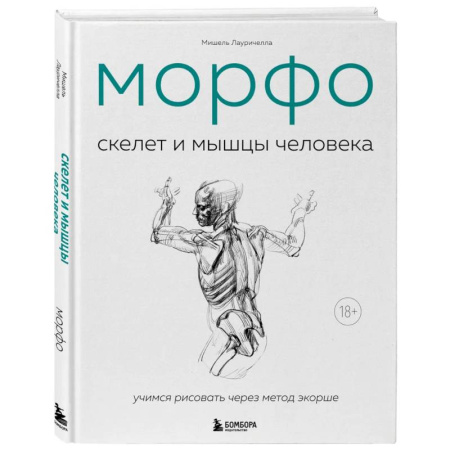 Портрет. Фигура человека, книга МОРФО. Скелет и мышцы человека. Анатомия для художников купить по низкой цене