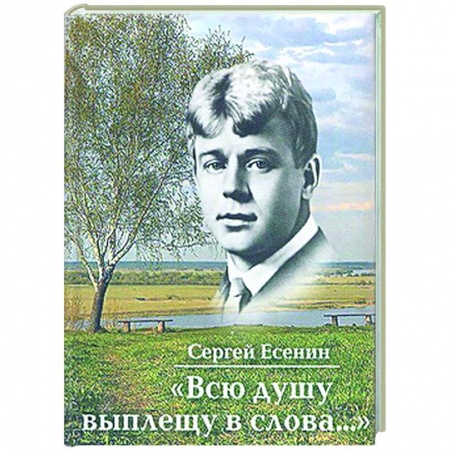 Русская поэзия, книга Всю душу выплещу в слова... купить по низкой цене