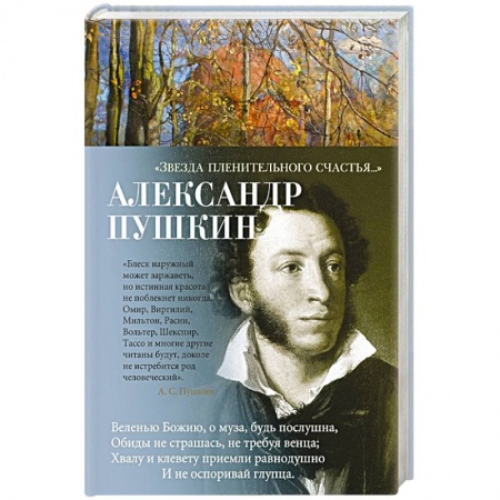 Русская поэзия, книга Звезда пленительного счастья... купить по низкой цене