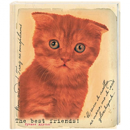 Книги, книга Лучшие друзья. Фотоальбом купить по низкой цене