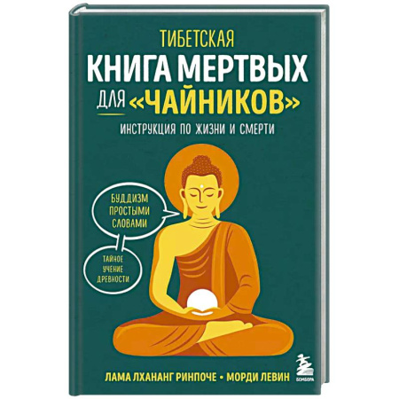 Эзотерика. Оккультизм, книга Тибетская Книга мертвых для 'чайников'. Инструкция по жизни и смерти купить по низкой цене