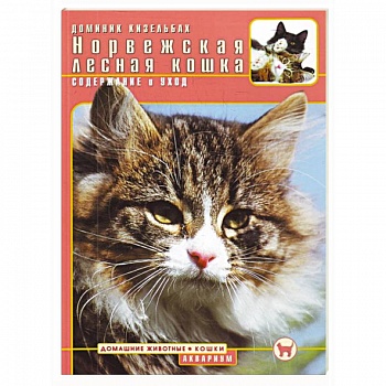 Норвежская лесная кошка. Содержание и уход