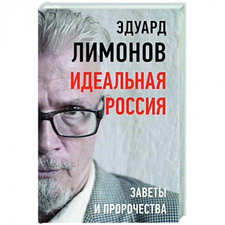 Эссе, письма, очерки, книга Идеальная Россия. Заветы и пророчества купить по низкой цене