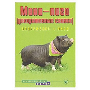 Мини-пиги (декоративные свинки).  Содержание и уход