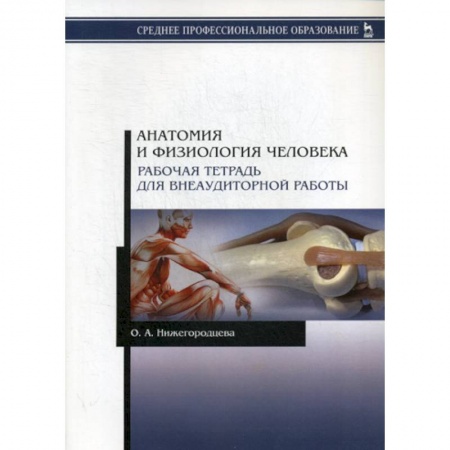 Анатомия и физиология человека, книга Анатомия и физиология человека купить по низкой цене