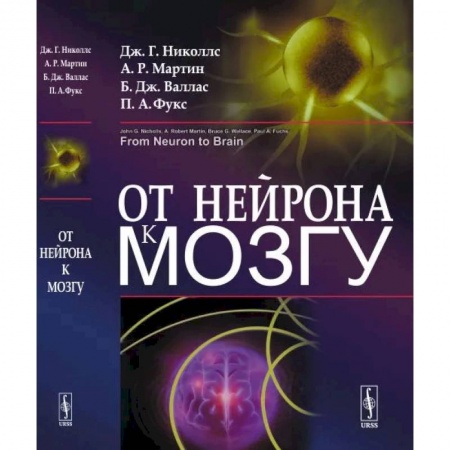Антропология, книга От нейрона к мозгу купить по низкой цене