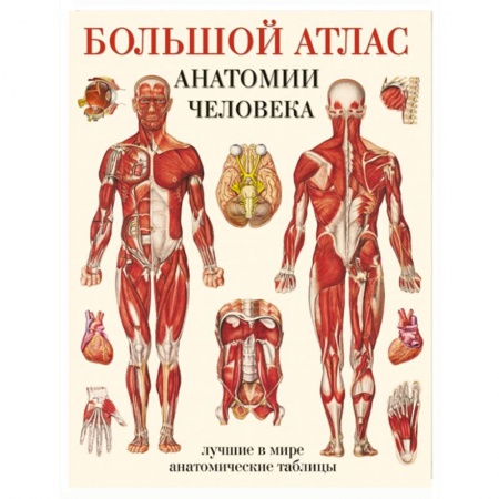 Книги, книга Большой атлас анатомии человека купить по низкой цене