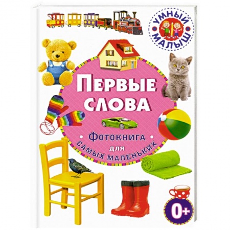 Знакомство с миром, развитие малыша, книга Первые слова. Фотокнига для самых маленьких купить по низкой цене