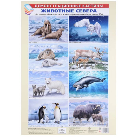 Животный и растительный мир, книга Животные Севера. Методический материал к основной образовательной программе ДОО (8 плакатов) купить по низкой цене