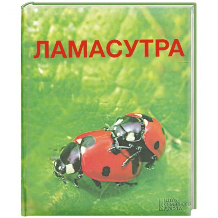 Книги, книга Ламасутра купить по низкой цене