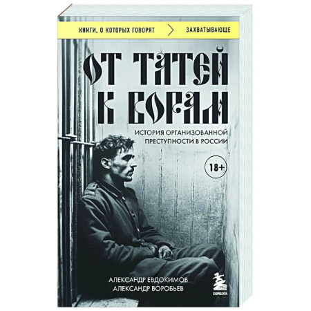 Криминал, книга От татей к ворам: история организованной преступности в России купить по низкой цене