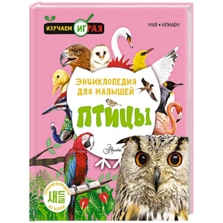 Животный и растительный мир, книга Птицы купить по низкой цене