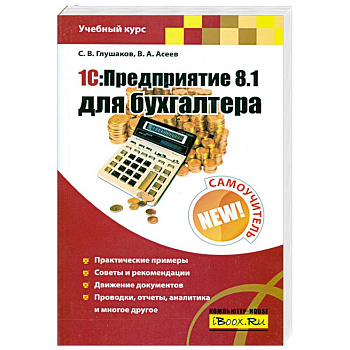 1С: Предприятие 8.1 для бухгалтера: Самоучитель