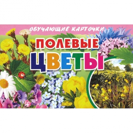 Познавательная литература, книга Карточки. Полевые цветы  купить по низкой цене