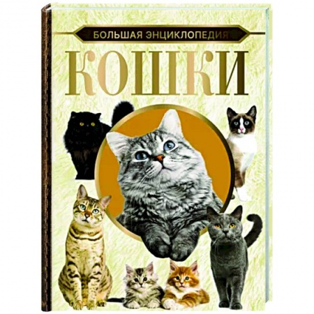 Кошки, книга Большая энциклопедия. Кошки купить по низкой цене