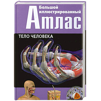 Большой иллюстрированный атлас. Тело человека